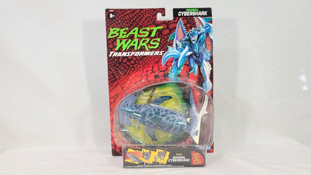 TF Collector Vintage BW Cybershark Review  (1 of 8)